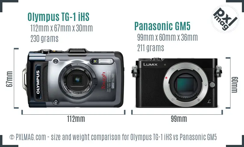 Olympus TG-1 iHS vs Panasonic GM5 size comparison Olympus TG-1 iHS vs Panasonic GM5 size comparison