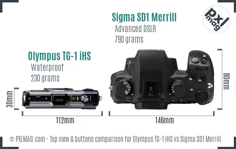 Olympus TG-1 iHS vs Sigma SD1 Merrill top view buttons comparison