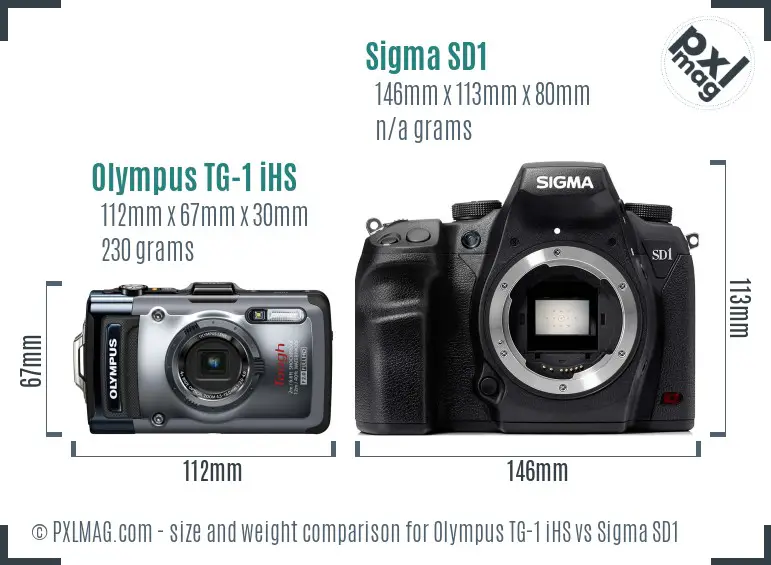 Olympus TG-1 iHS vs Sigma SD1 size comparison