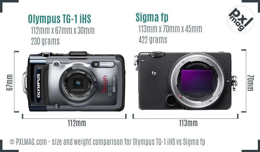 Olympus TG-1 iHS vs Sigma fp size comparison