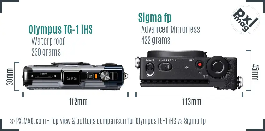 Olympus TG-1 iHS vs Sigma fp top view buttons comparison