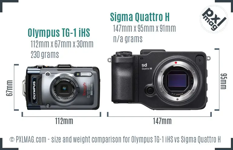 Olympus TG-1 vs Sigma Quattro H size comparison