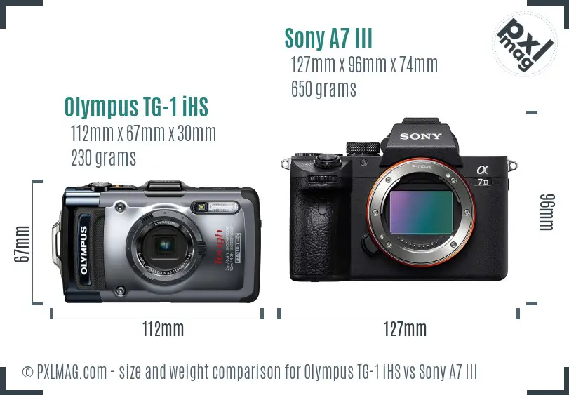Olympus TG-1 iHS vs Sony A7 III size comparison