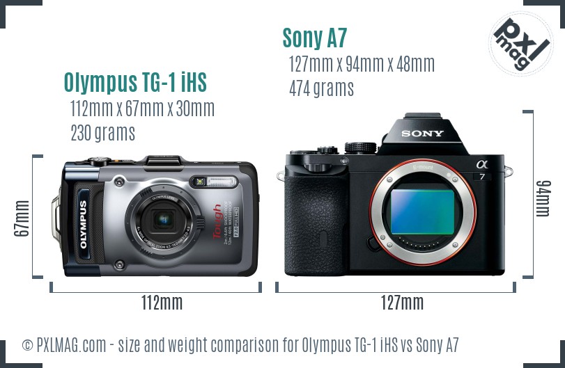 Olympus TG-1 iHS vs Sony A7 size comparison