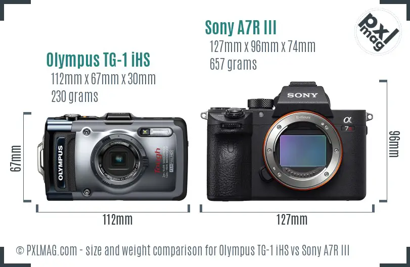Olympus TG-1 iHS vs Sony A7R III size comparison