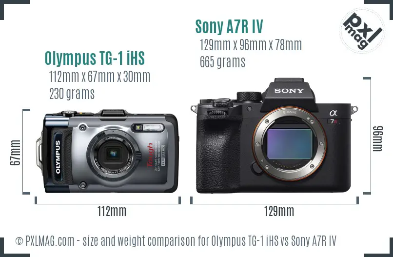 Olympus TG-1 iHS vs Sony A7R IV size comparison