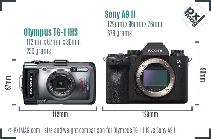 Olympus TG-1 iHS vs Sony A9 II size comparison