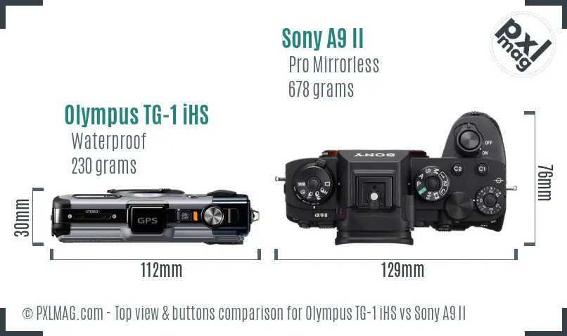 Olympus TG-1 iHS vs Sony A9 II top view buttons comparison