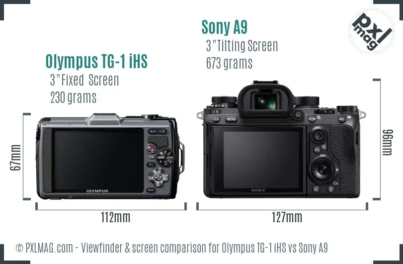 Olympus TG-1 iHS vs Sony A9 Screen and Viewfinder comparison