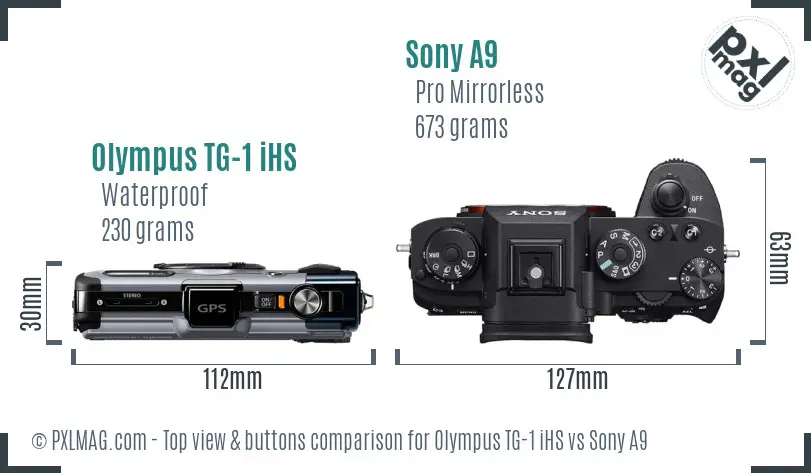 Olympus TG-1 iHS vs Sony A9 top view buttons comparison