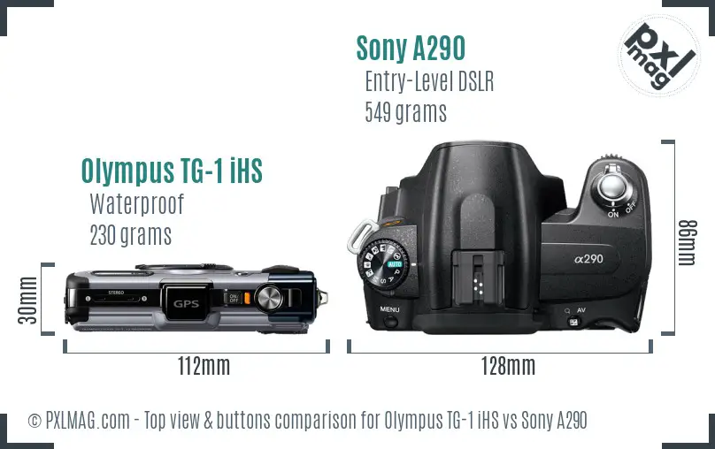 Olympus TG-1 iHS vs Sony A290 top view buttons comparison