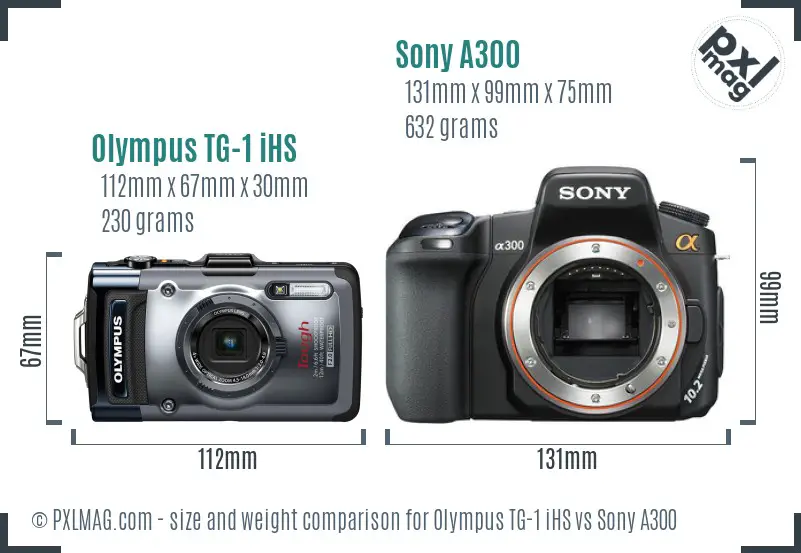Olympus TG-1 iHS vs Sony A300 size comparison