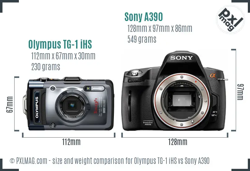 Olympus TG-1 iHS vs Sony A390 size comparison