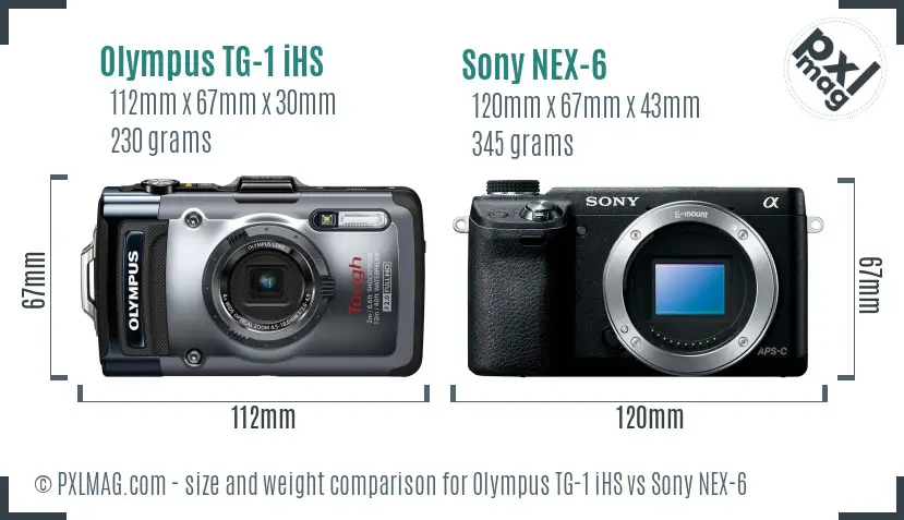 Olympus TG-1 iHS vs Sony NEX-6 size comparison