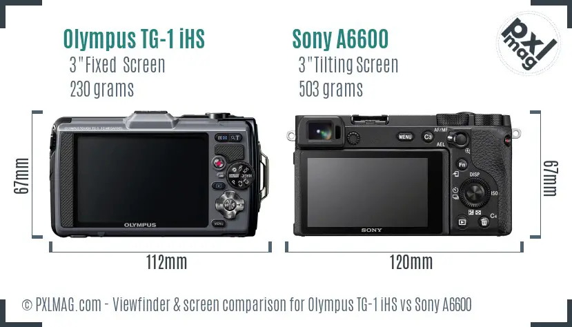 Olympus TG-1 iHS vs Sony A6600 Screen and Viewfinder comparison