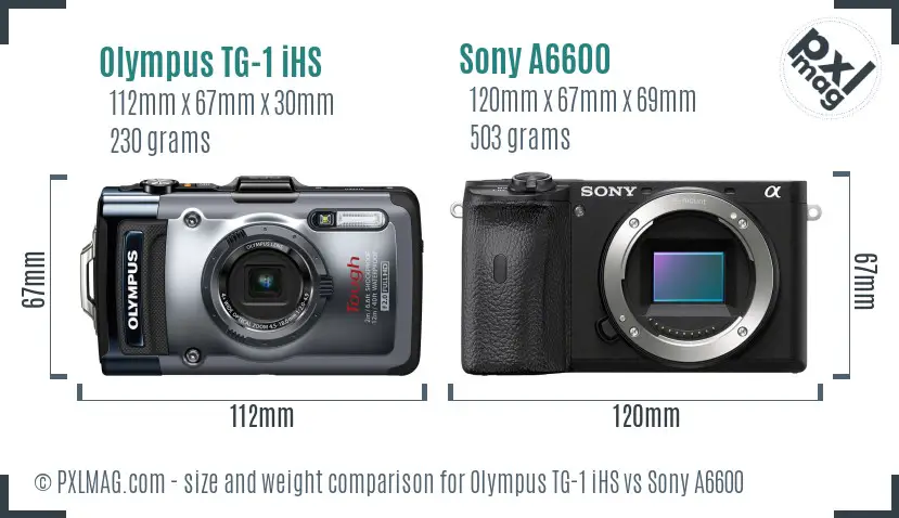 Olympus TG-1 iHS vs Sony A6600 size comparison