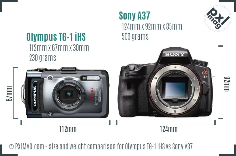 Olympus TG-1 iHS vs Sony A37 size comparison