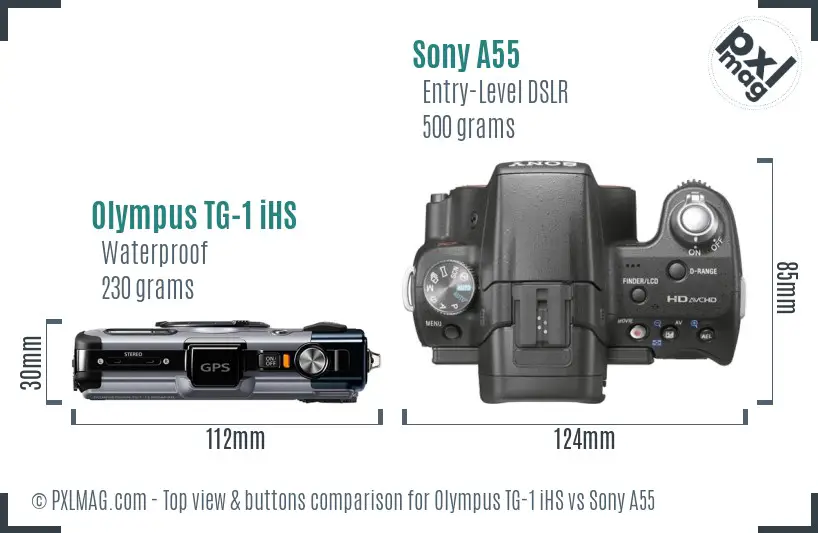 Olympus TG-1 iHS vs Sony A55 top view buttons comparison