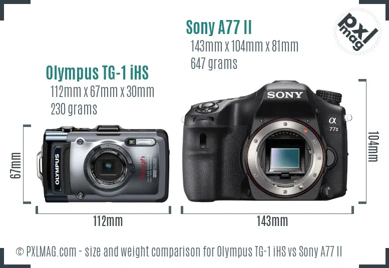 Olympus TG-1 iHS vs Sony A77 II size comparison