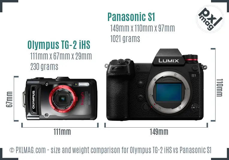 Olympus TG-2 iHS vs Panasonic S1 size comparison
