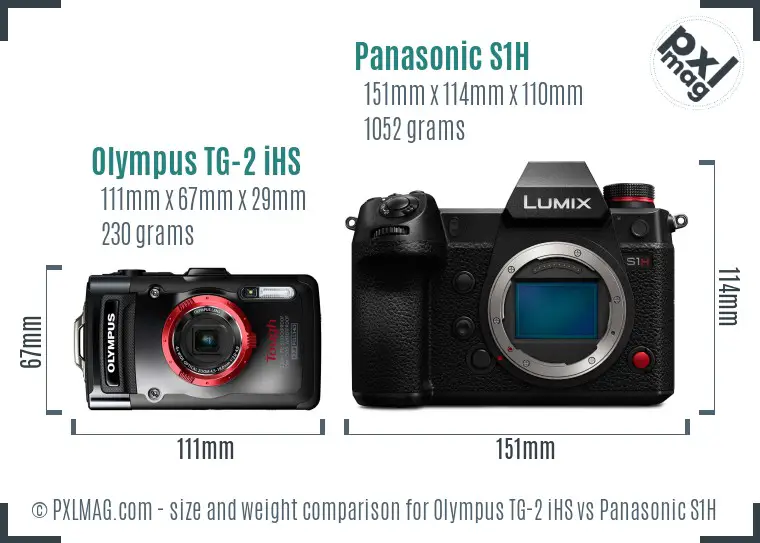 Olympus TG-2 iHS vs Panasonic S1H size comparison