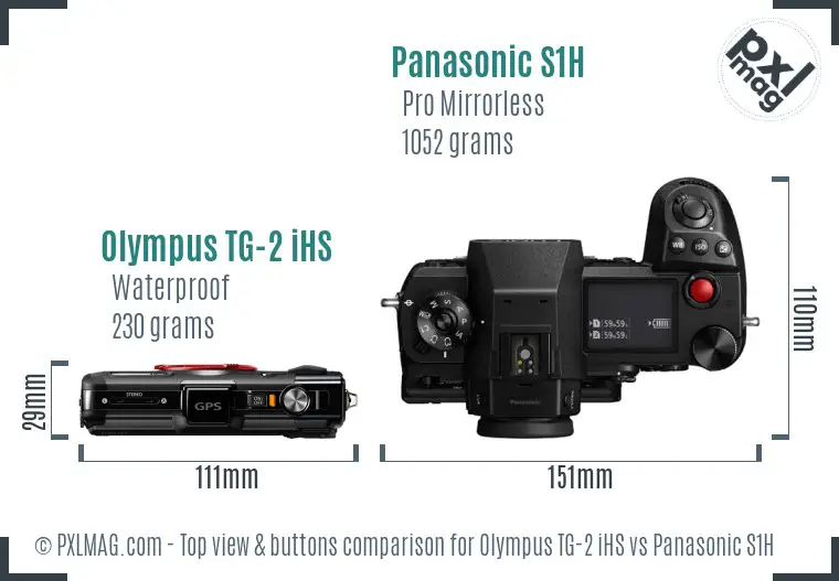 Olympus TG-2 iHS vs Panasonic S1H top view buttons comparison