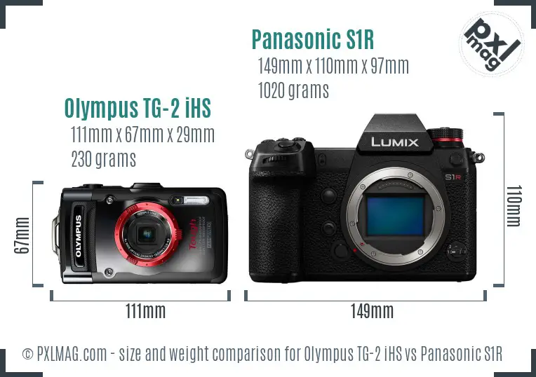 Olympus TG-2 iHS vs Panasonic S1R size comparison