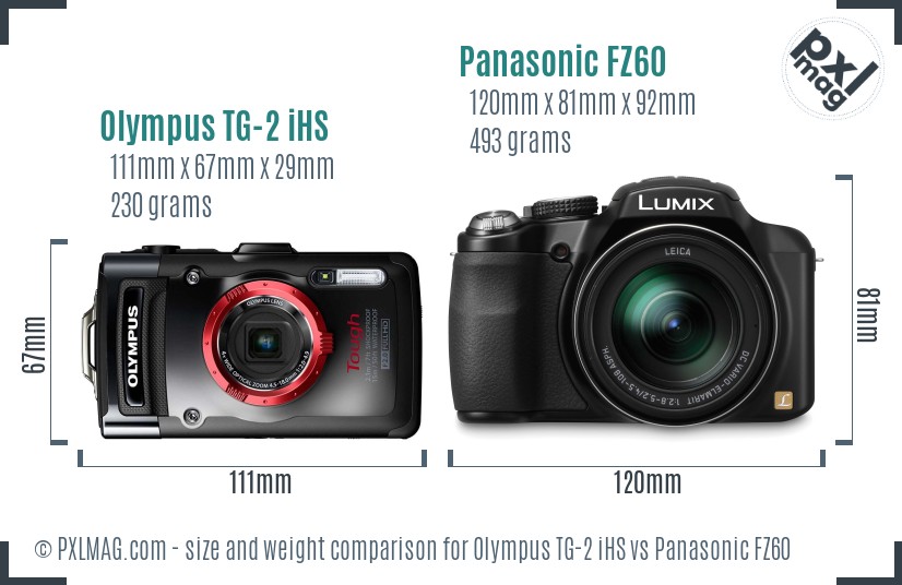 Olympus TG-2 iHS vs Panasonic FZ60 size comparison Olympus TG-2 iHS vs Panasonic FZ60 size comparison