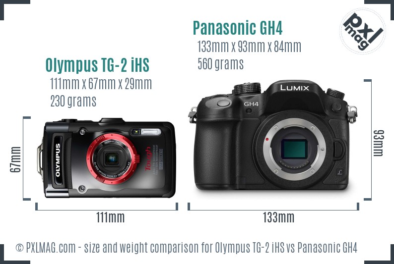 Olympus TG-2 iHS vs Panasonic GH4 size comparison