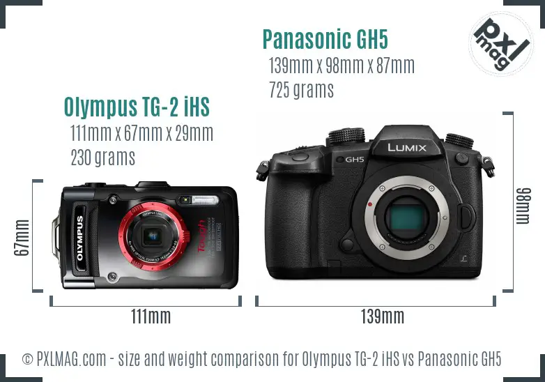 Olympus TG-2 iHS vs Panasonic GH5 size comparison Olympus TG-2 iHS vs Panasonic GH5 size comparison