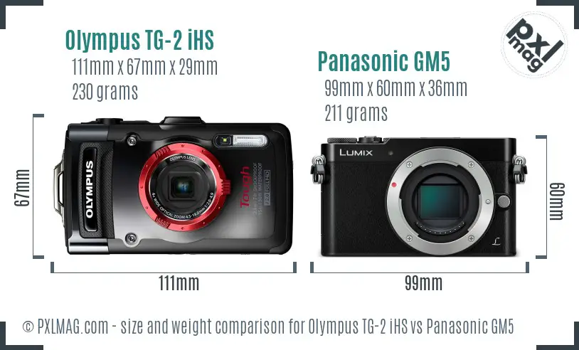Olympus TG-2 iHS vs Panasonic GM5 size comparison Olympus TG-2 iHS vs Panasonic GM5 size comparison