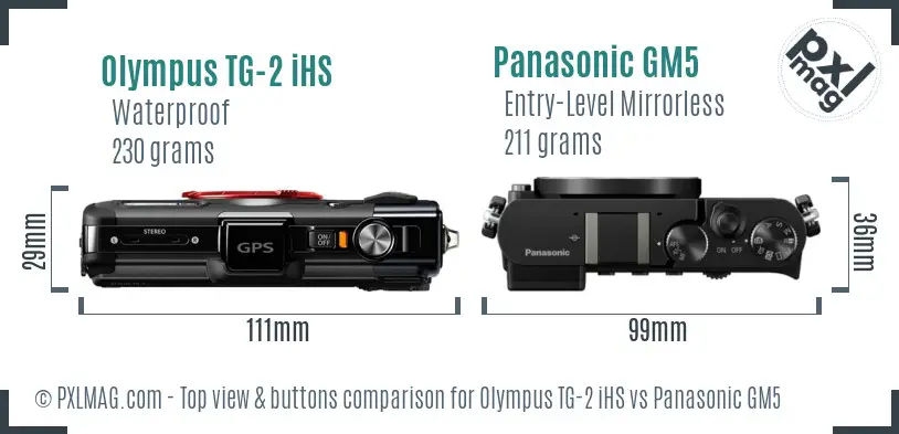 Olympus TG-2 iHS vs Panasonic GM5 top view buttons comparison Olympus TG-2 iHS vs Panasonic GM5 top view buttons comparison