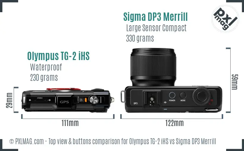Olympus TG-2 iHS vs Sigma DP3 Merrill top view buttons comparison