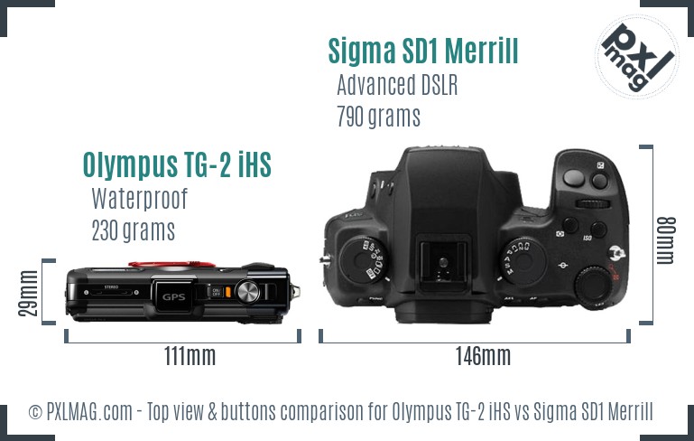 Olympus TG-2 iHS vs Sigma SD1 Merrill top view buttons comparison
