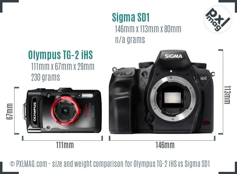 Olympus TG-2 iHS vs Sigma SD1 size comparison