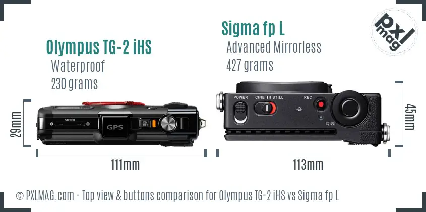 Olympus TG-2 iHS vs Sigma fp L top view buttons comparison