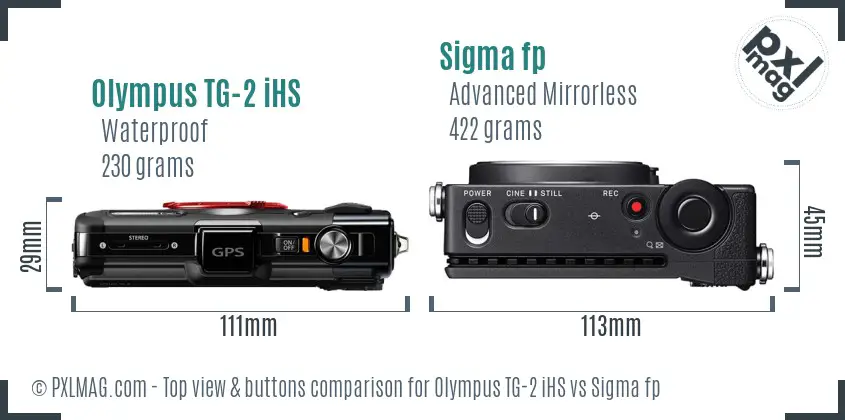 Olympus TG-2 iHS vs Sigma fp top view buttons comparison