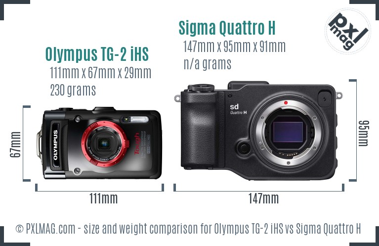 Olympus TG-2 iHS vs Sigma Quattro H size comparison