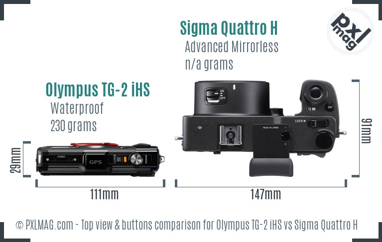Olympus TG-2 iHS vs Sigma Quattro H top view buttons comparison