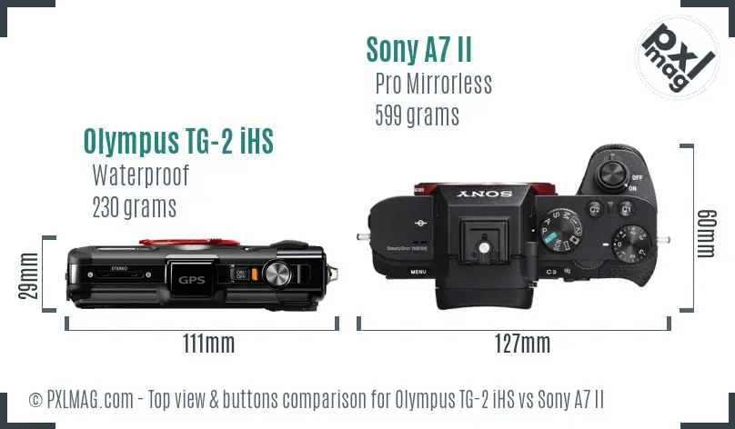 Olympus TG-2 iHS vs Sony A7 II top view buttons comparison