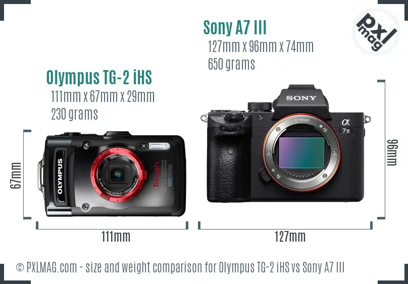 Olympus TG-2 iHS vs Sony A7 III size comparison