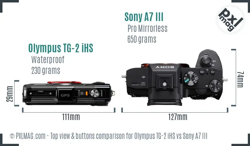 Olympus TG-2 iHS vs Sony A7 III top view buttons comparison