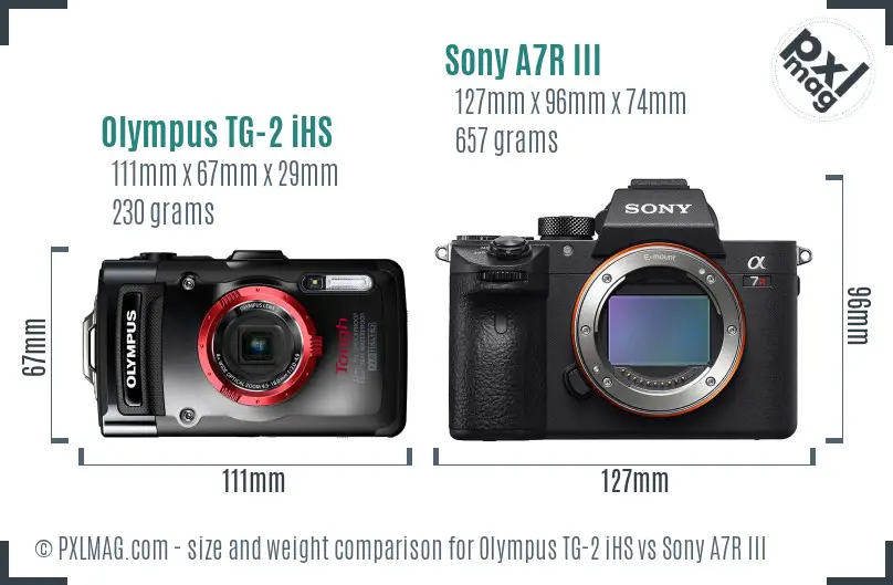 Olympus TG-2 iHS vs Sony A7R III size comparison