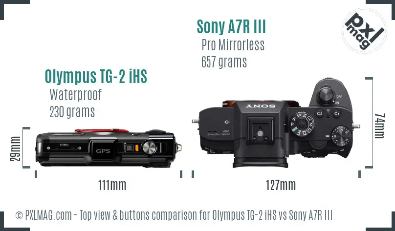 Olympus TG-2 iHS vs Sony A7R III top view buttons comparison