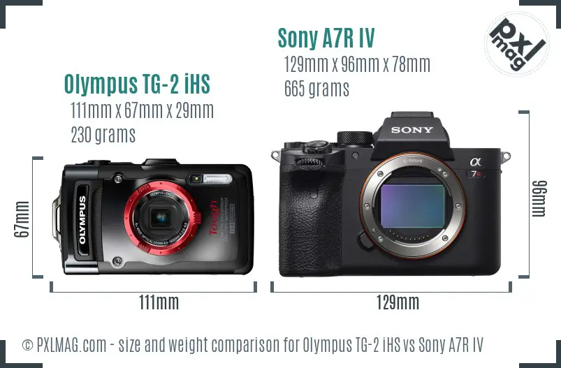 Olympus TG-2 iHS vs Sony A7R IV size comparison