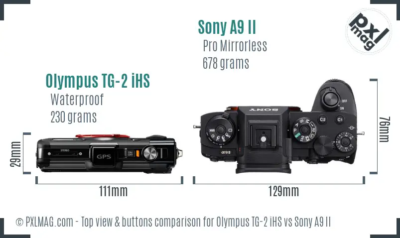 Olympus TG-2 iHS vs Sony A9 II top view buttons comparison