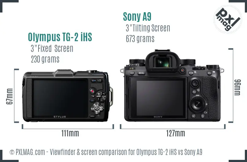 Olympus TG-2 iHS vs Sony A9 Screen and Viewfinder comparison