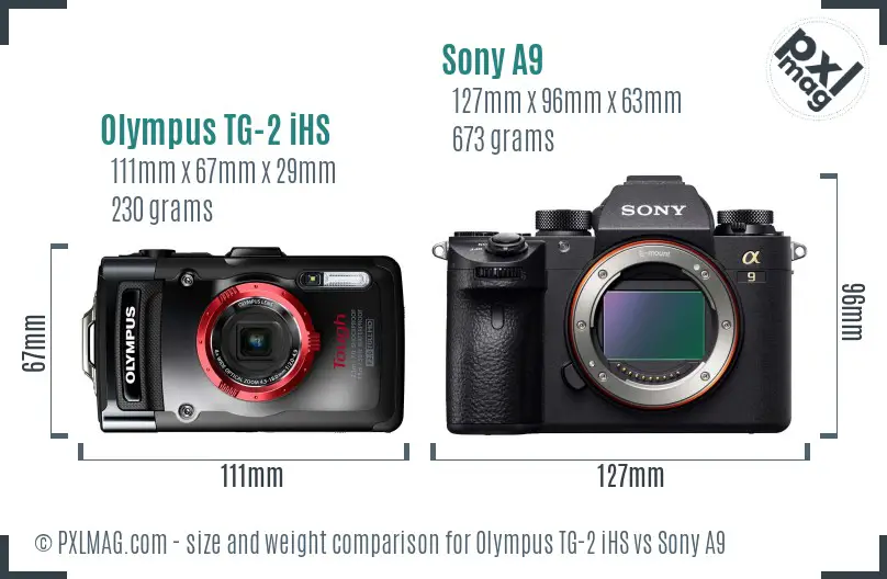 Olympus TG-2 iHS vs Sony A9 size comparison