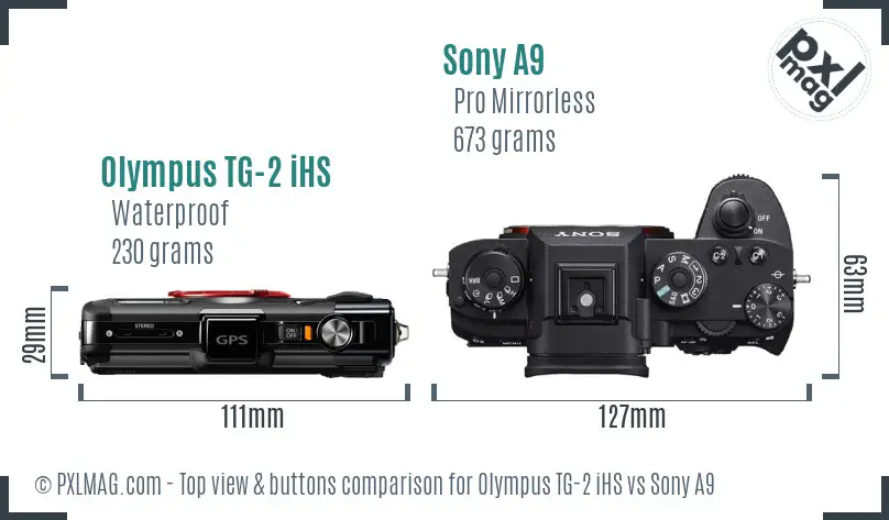 Olympus TG-2 iHS vs Sony A9 top view buttons comparison
