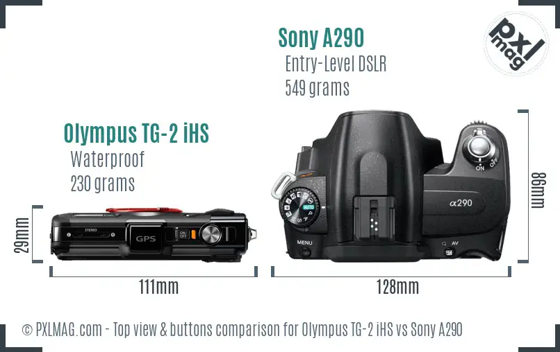 Olympus TG-2 iHS vs Sony A290 top view buttons comparison
